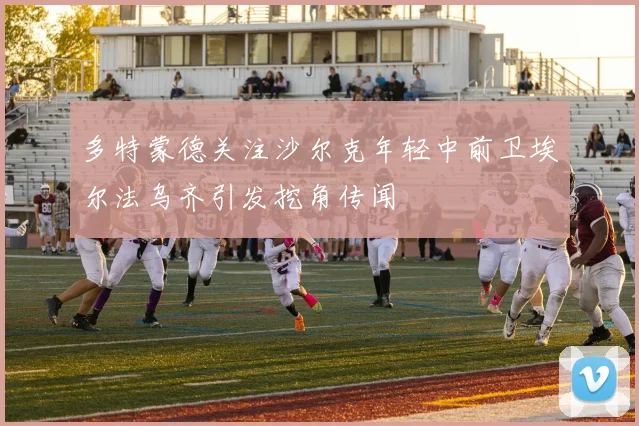 多特蒙德关注沙尔克年轻中前卫埃尔法乌齐引发挖角传闻
